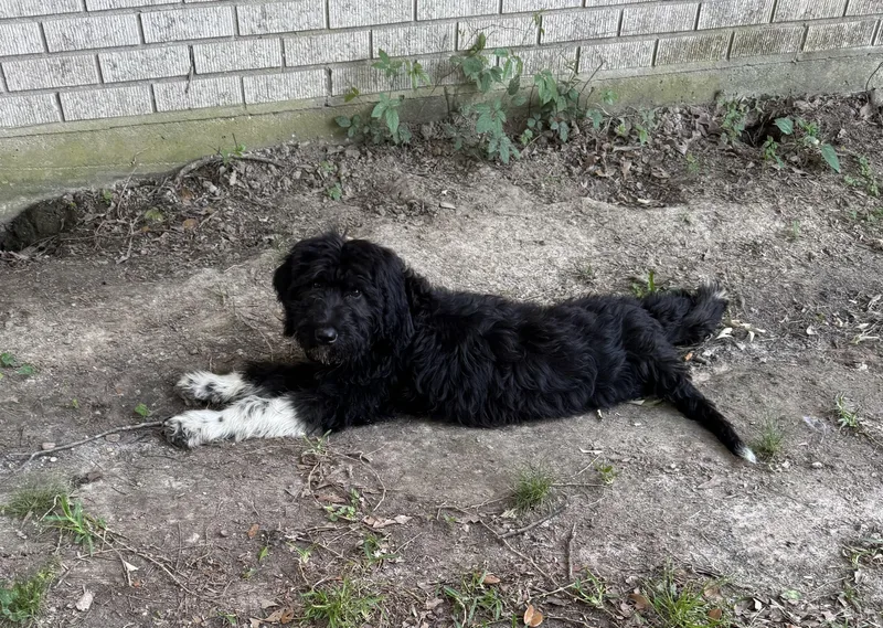 Socrates thumbnail 5