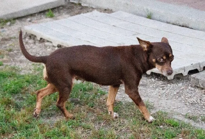Juanita
