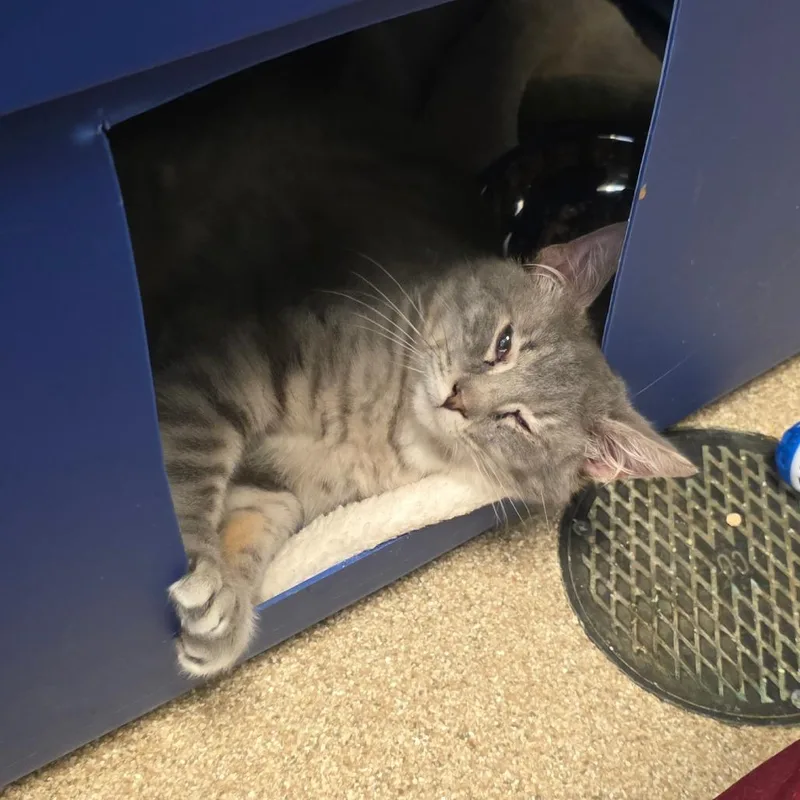 Pistachio thumbnail 2