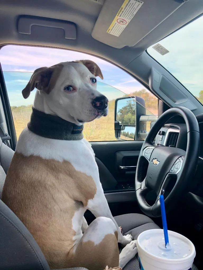 Wilson "willie thumbnail 3