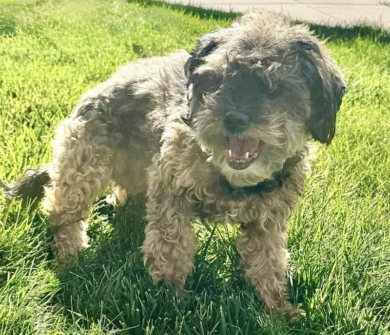 Charlotte thumbnail 2