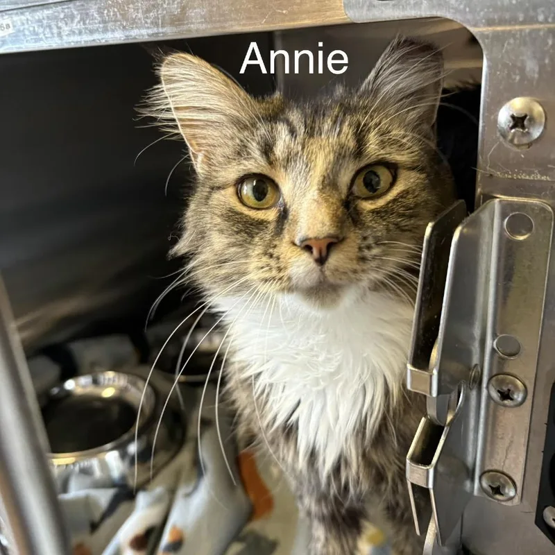 Annie