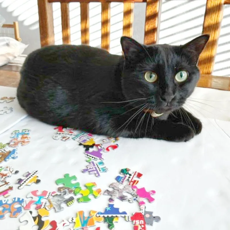 Maggie thumbnail 2