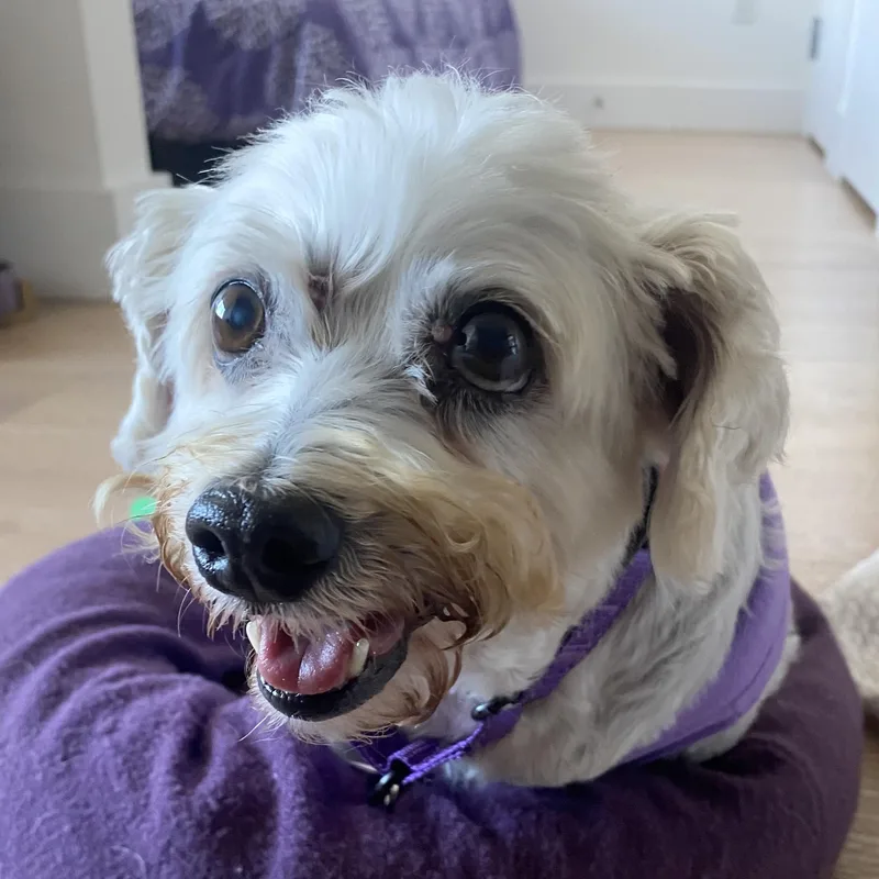 Nellie thumbnail 5