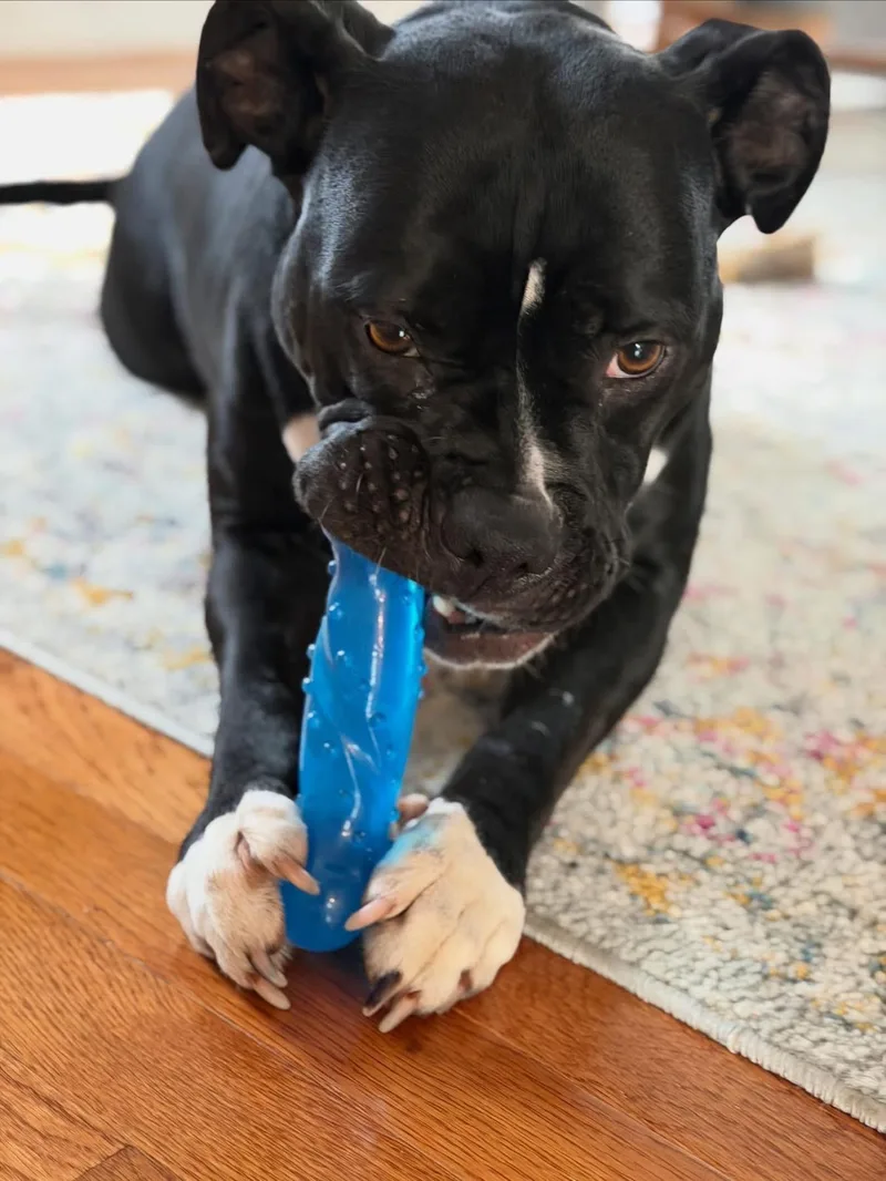 Wednesday thumbnail 3