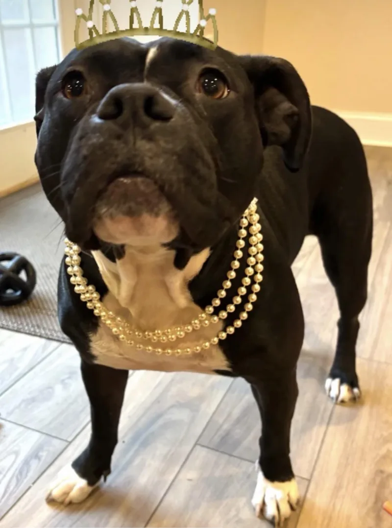 Wednesday thumbnail 6