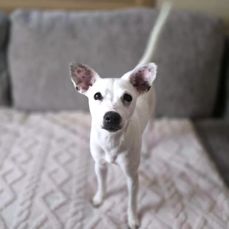 Libby thumbnail 6