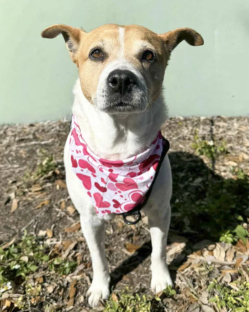 Gracee  F thumbnail 3