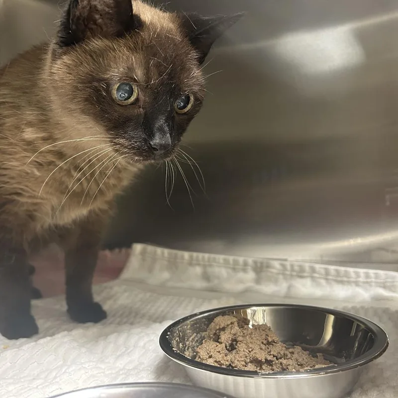 Coco