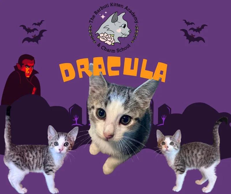 Dracula thumbnail 5