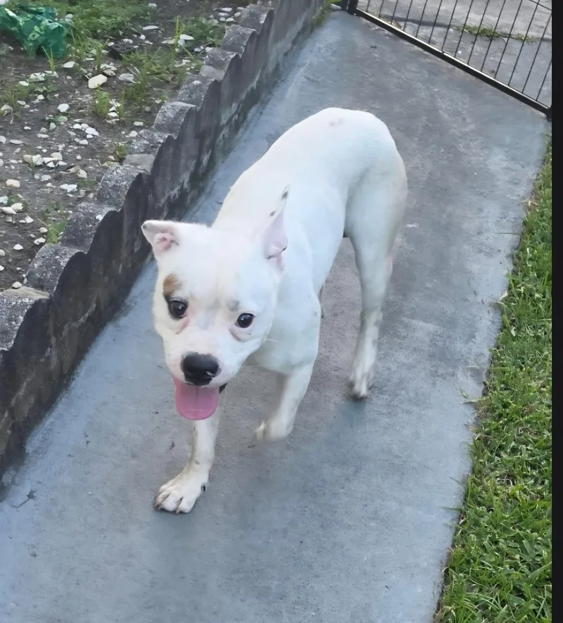 Casper thumbnail 2
