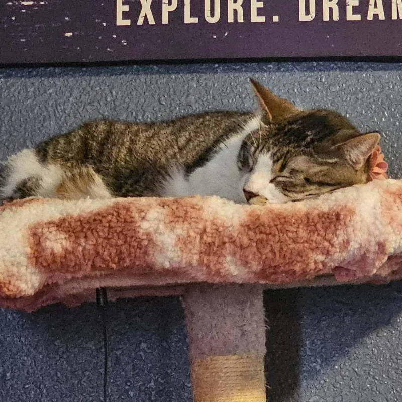 Cloudy C thumbnail 2