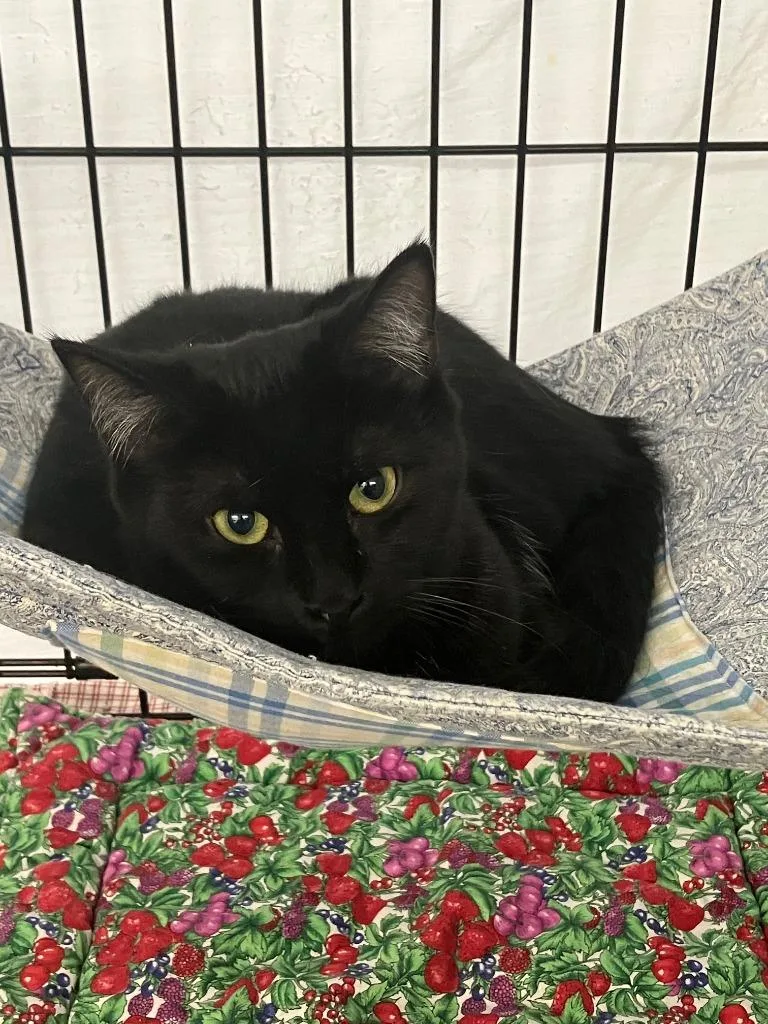 Sweetness thumbnail 2