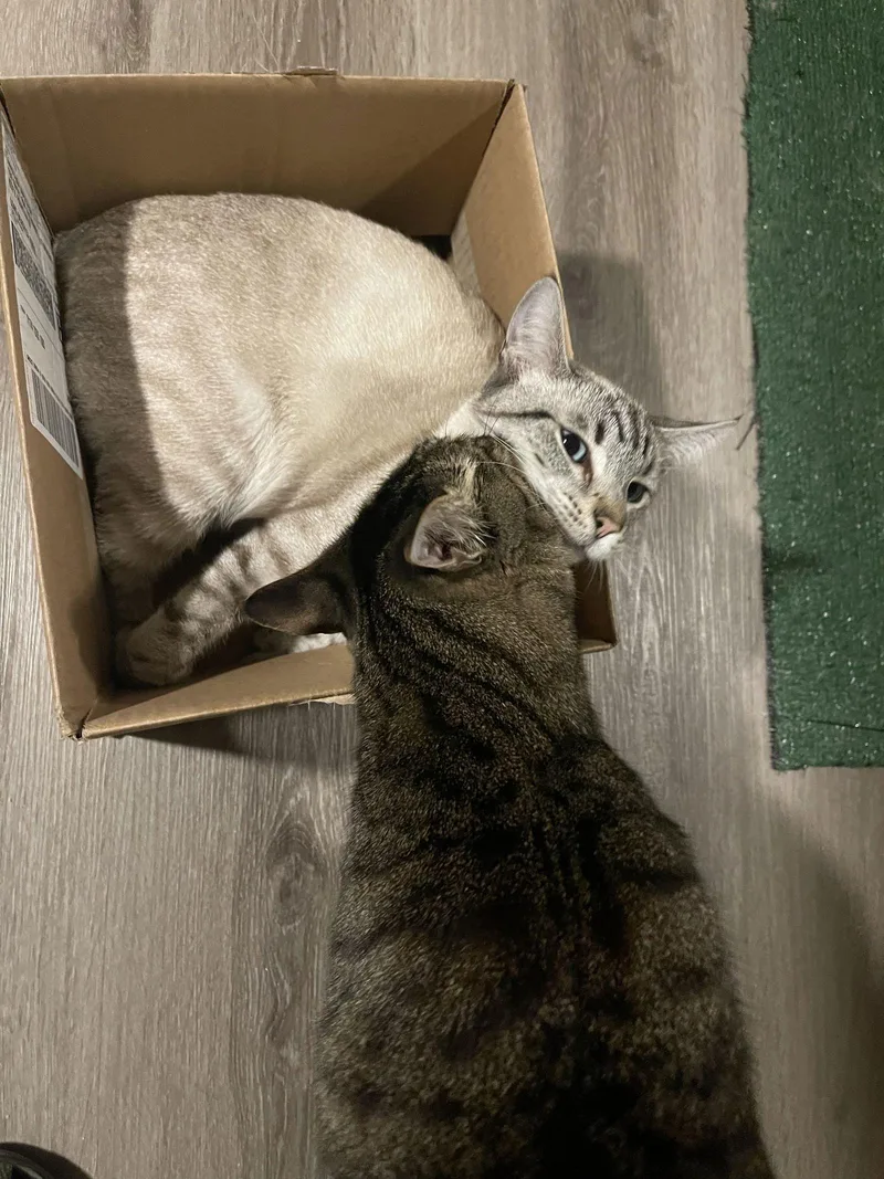 Freeway & Francisco thumbnail 3