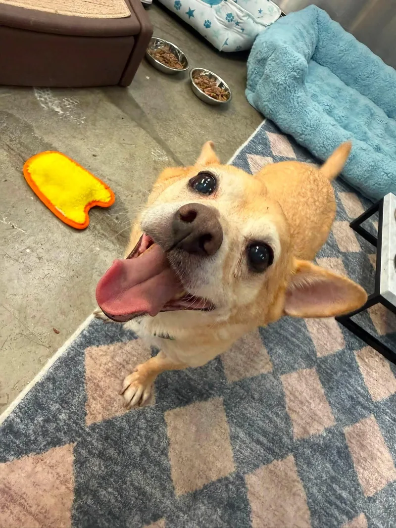 Ernie