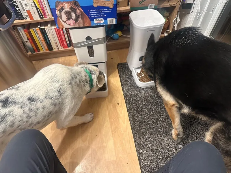 Zeppelin thumbnail 2