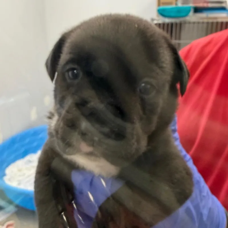 TX Gabby thumbnail 2