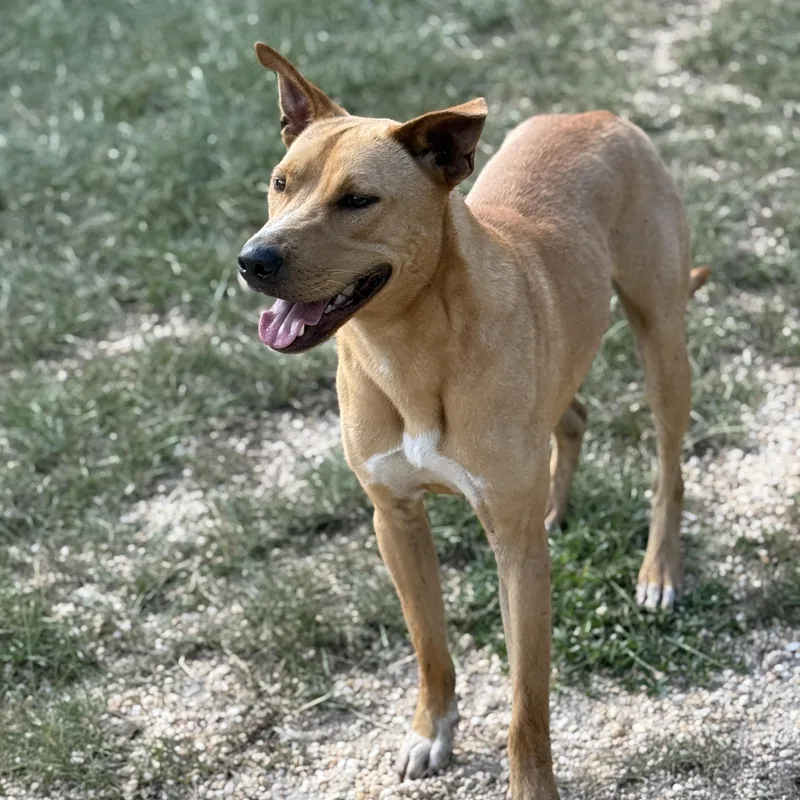 Santiago thumbnail 2