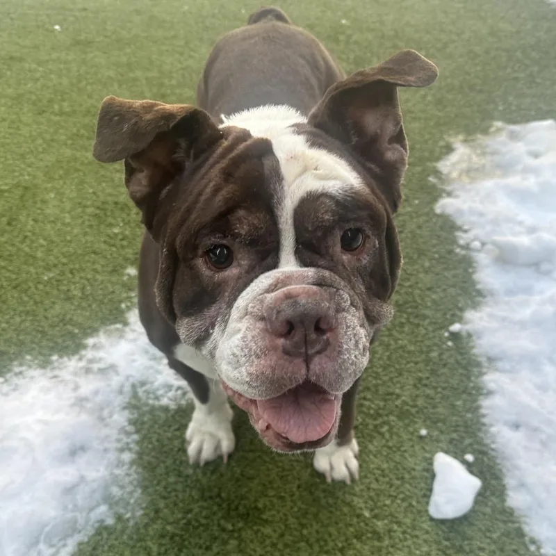 Wrinkles thumbnail 3