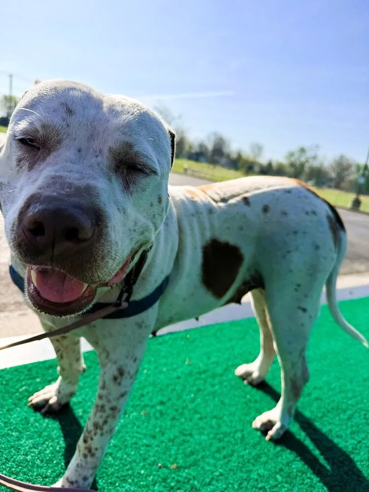 Harper  Ms. Personality!