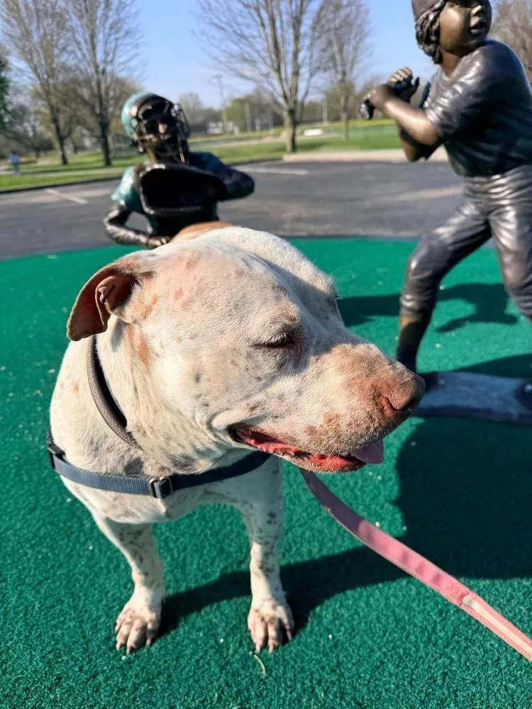 Harper  Ms. Personality! thumbnail 2