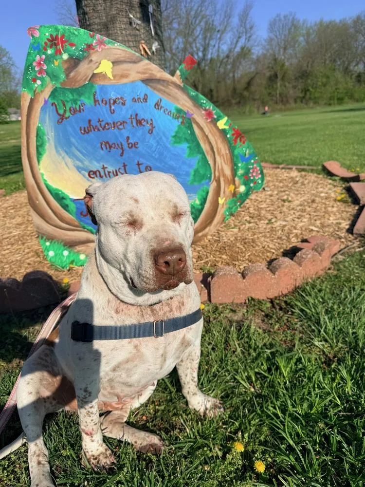 Harper  Ms. Personality! thumbnail 3