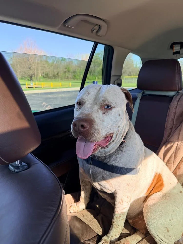 Harper  Ms. Personality! thumbnail 4