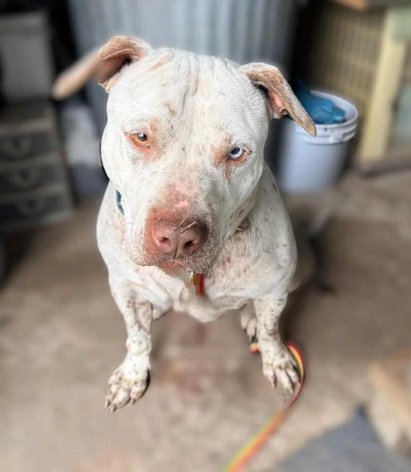 Harper  Ms. Personality! thumbnail 5