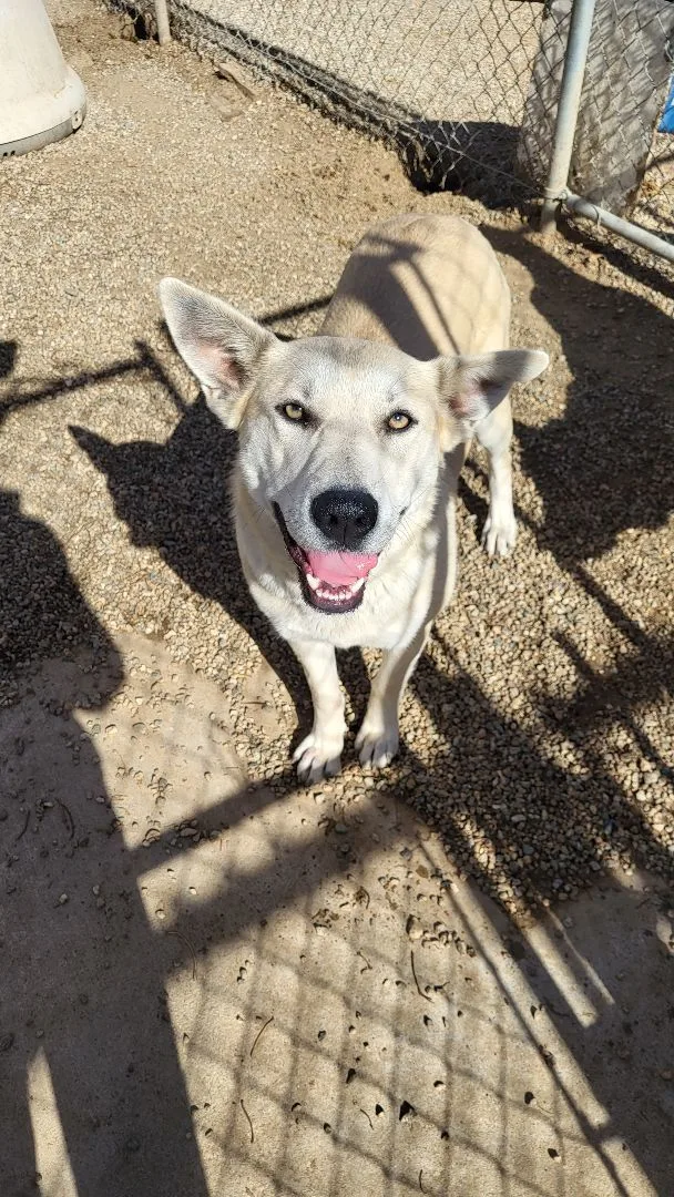 Carmen And Diego thumbnail 2