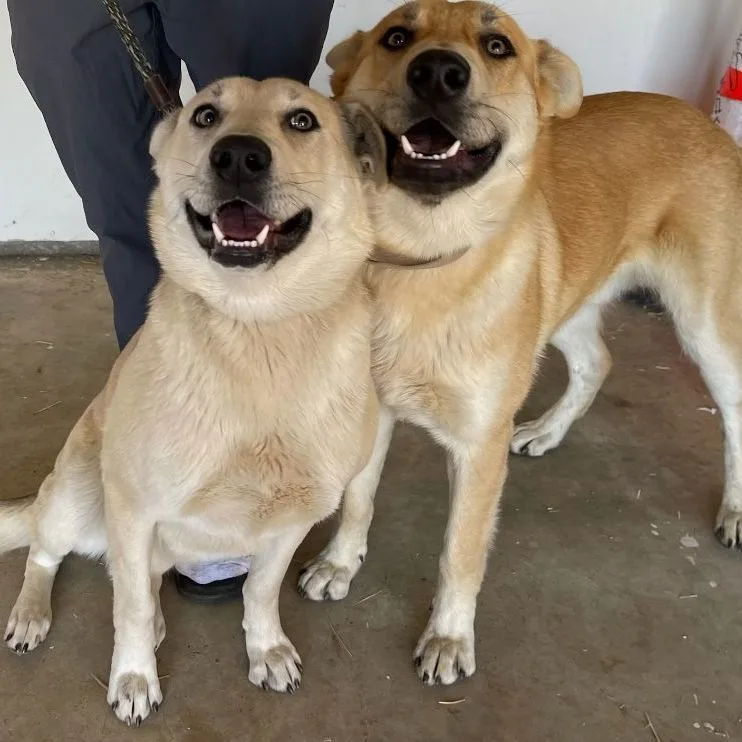 Carmen And Diego thumbnail 3