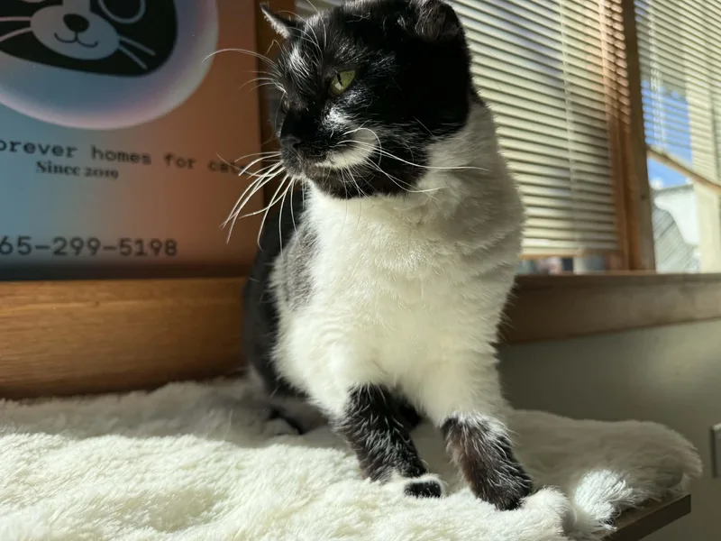 Vinnie Van Gogh thumbnail 3