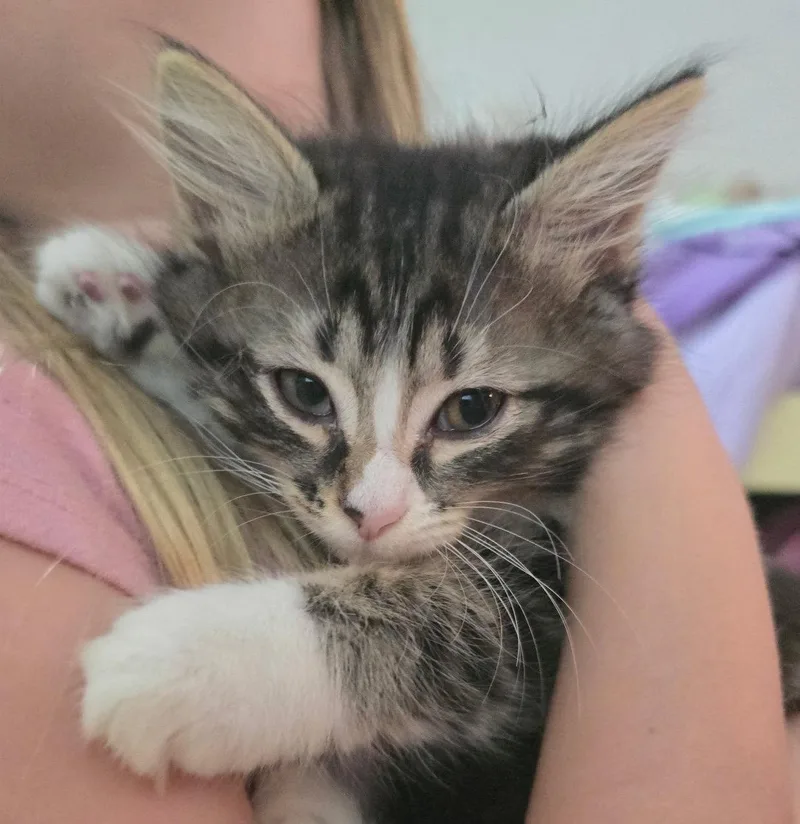 Maisie thumbnail 2