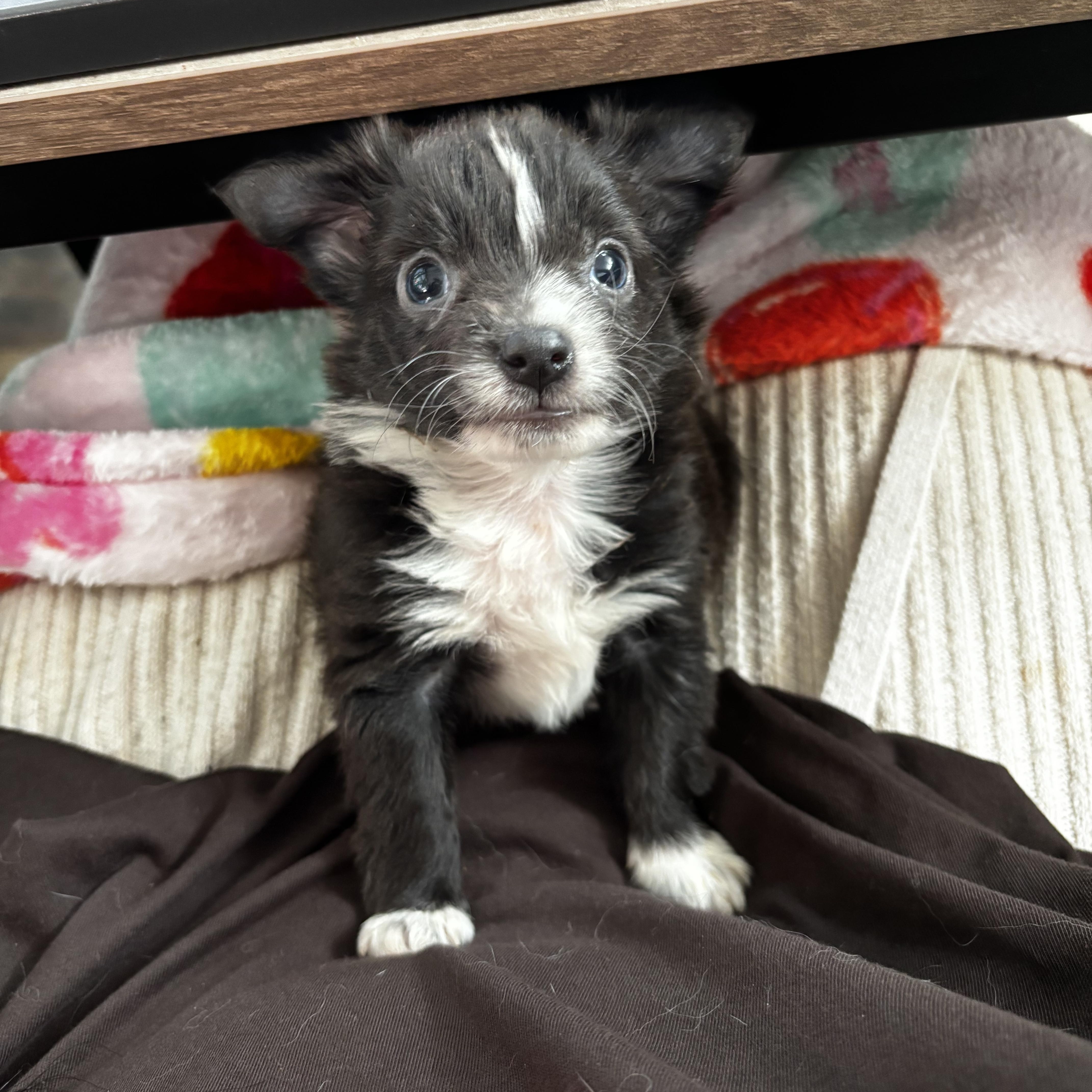 Roo  Winnie the thumbnail 4