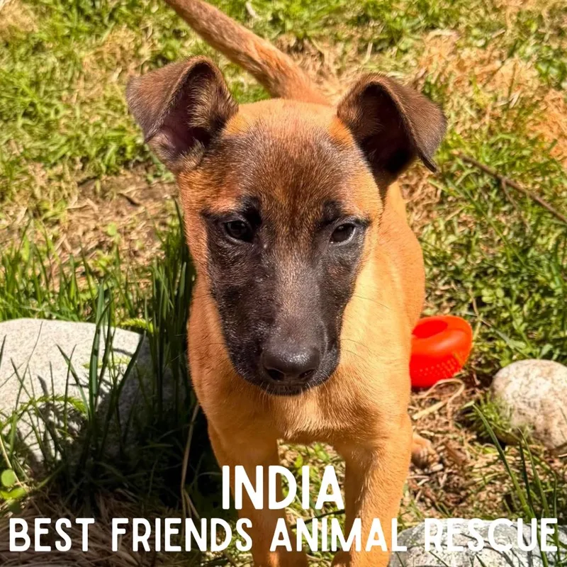 India thumbnail 2