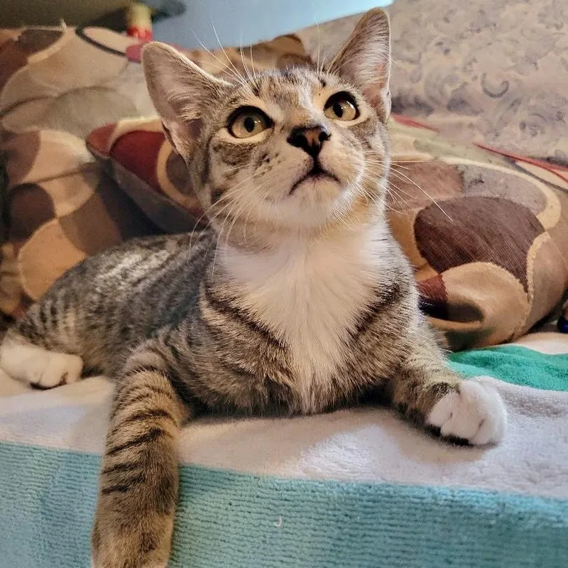 Bordeaux thumbnail 3