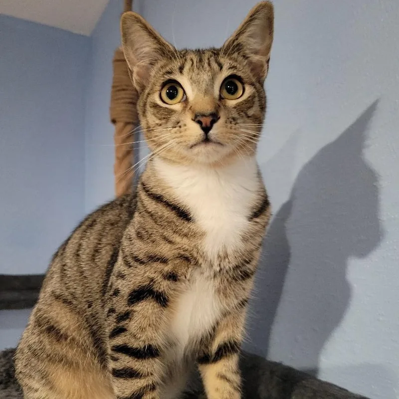 Bordeaux thumbnail 4