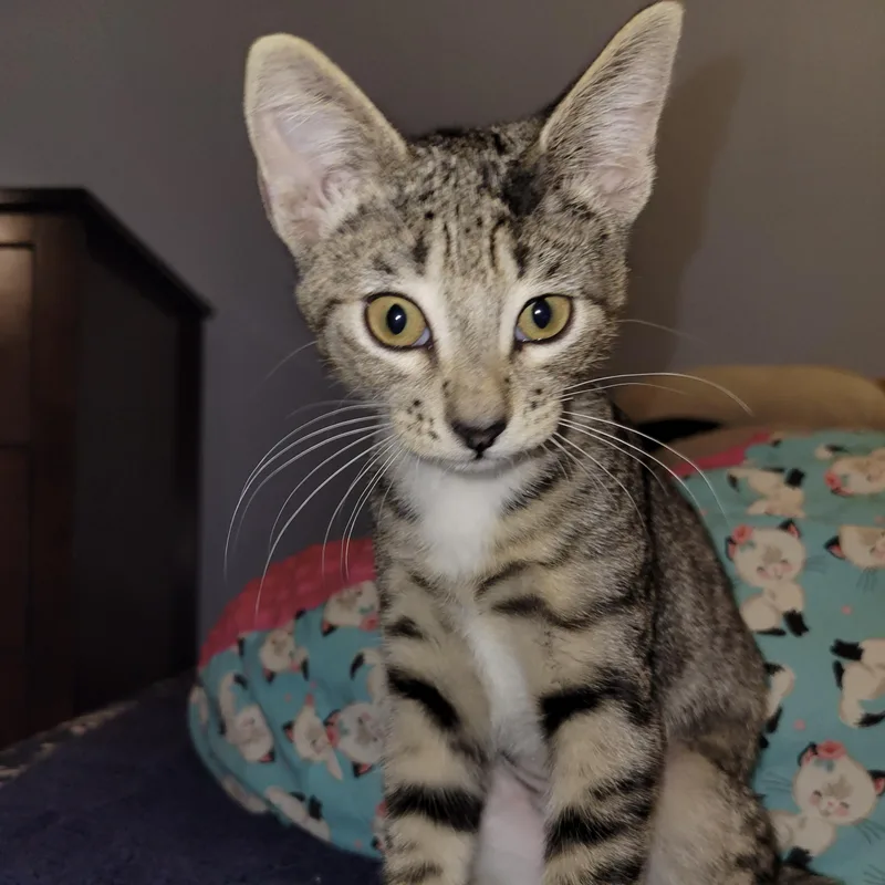 Bordeaux thumbnail 5