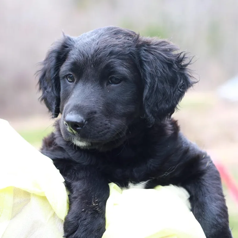 Ct Hot Topic thumbnail 2