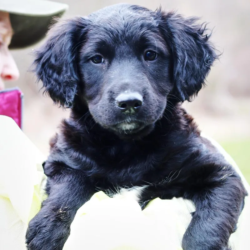 Ct Hot Topic thumbnail 4