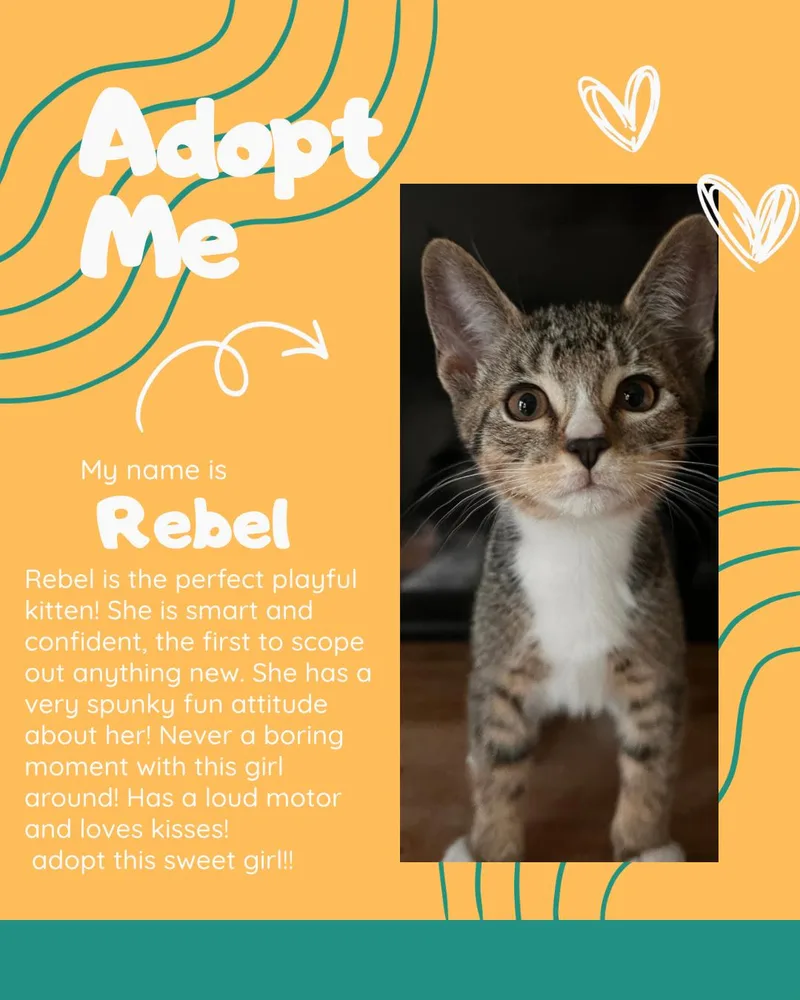 Rebel