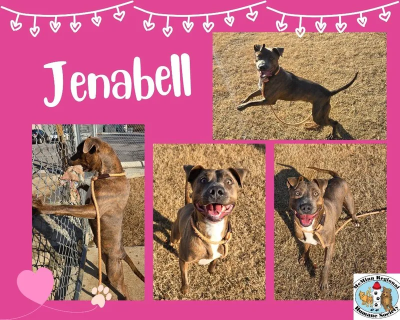 Jenabell thumbnail 3