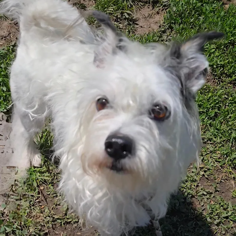 Sprocket thumbnail 3