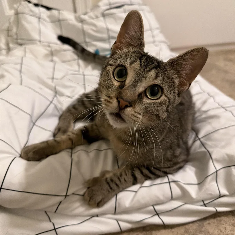 Minnie May thumbnail 3