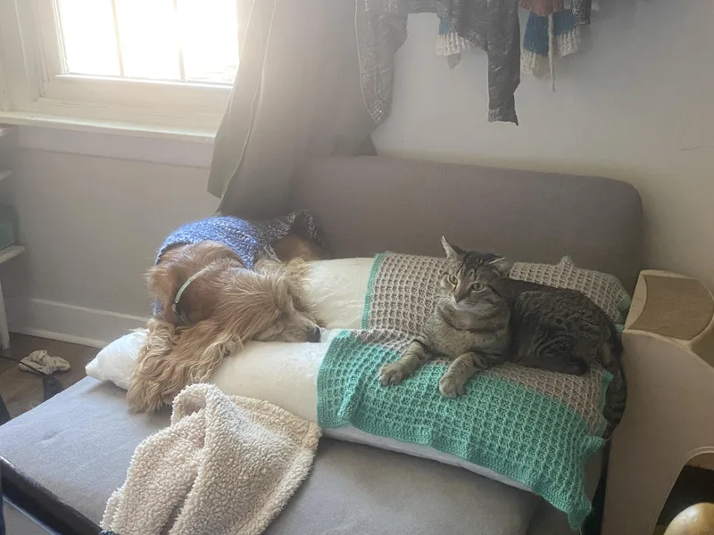 Cooper thumbnail 2