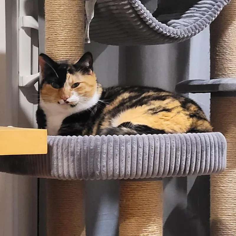 Frida thumbnail 3