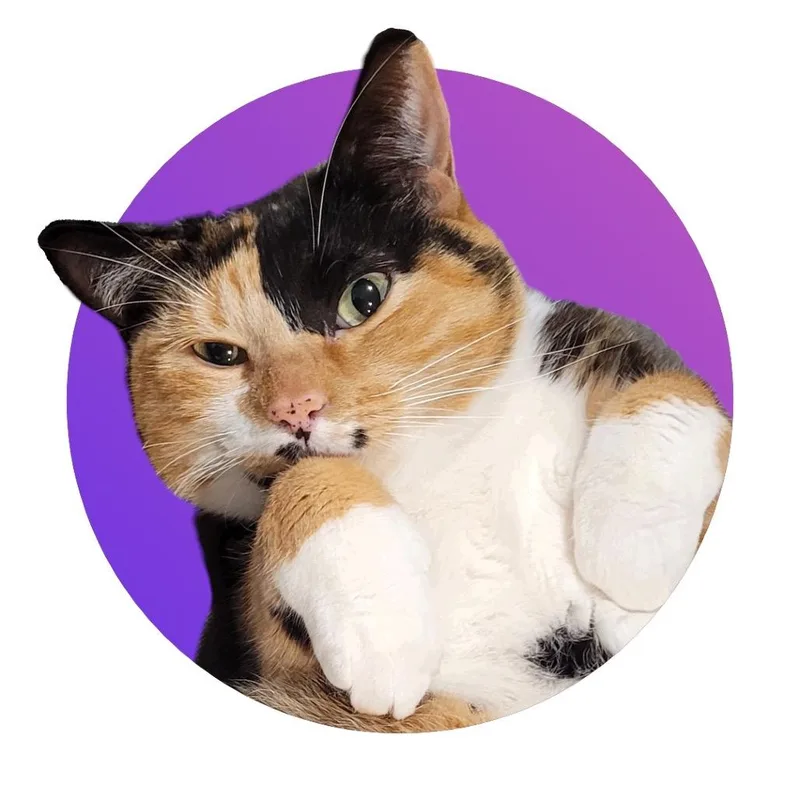 Frida thumbnail 4