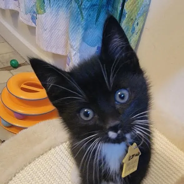 Leonardocheck Out My Video