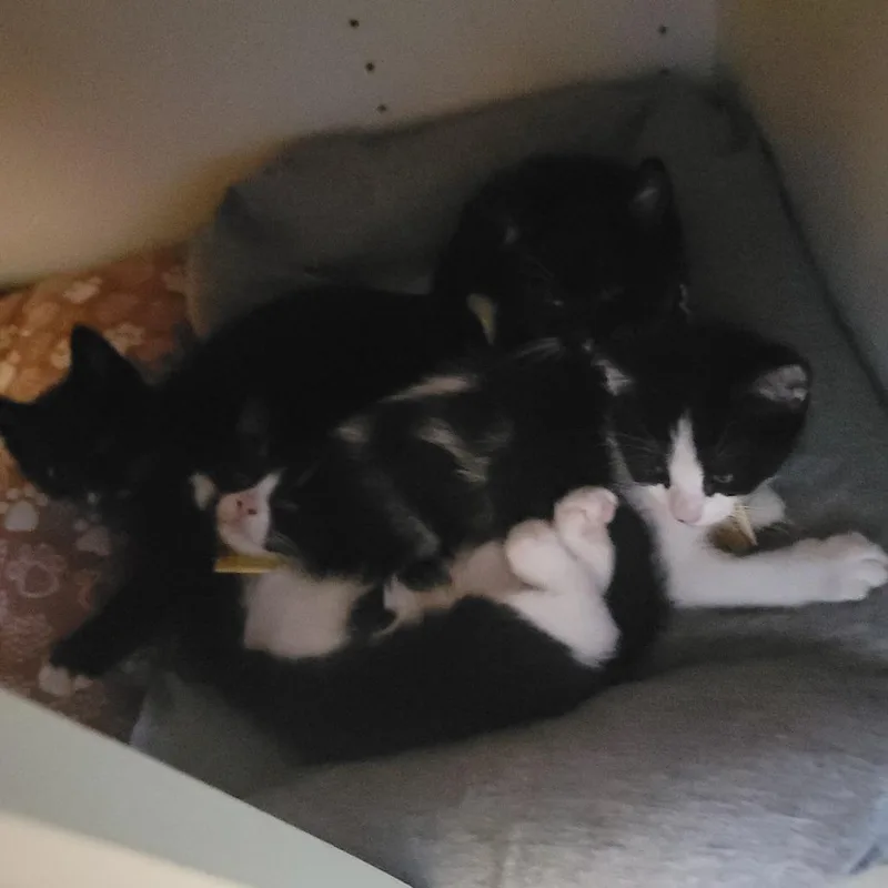 Leonardocheck Out My Video thumbnail 2