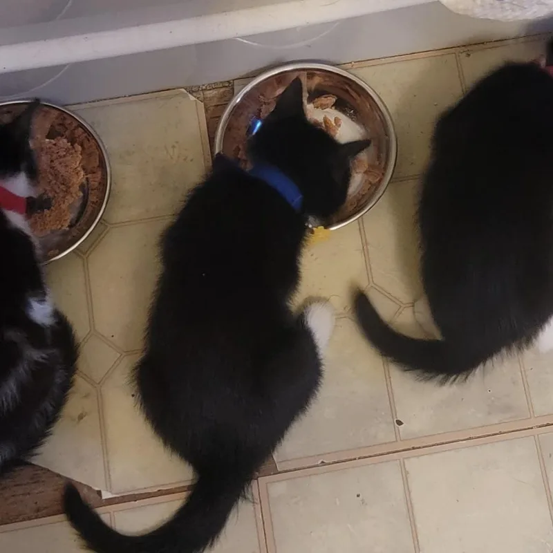 Leonardocheck Out My Video thumbnail 3