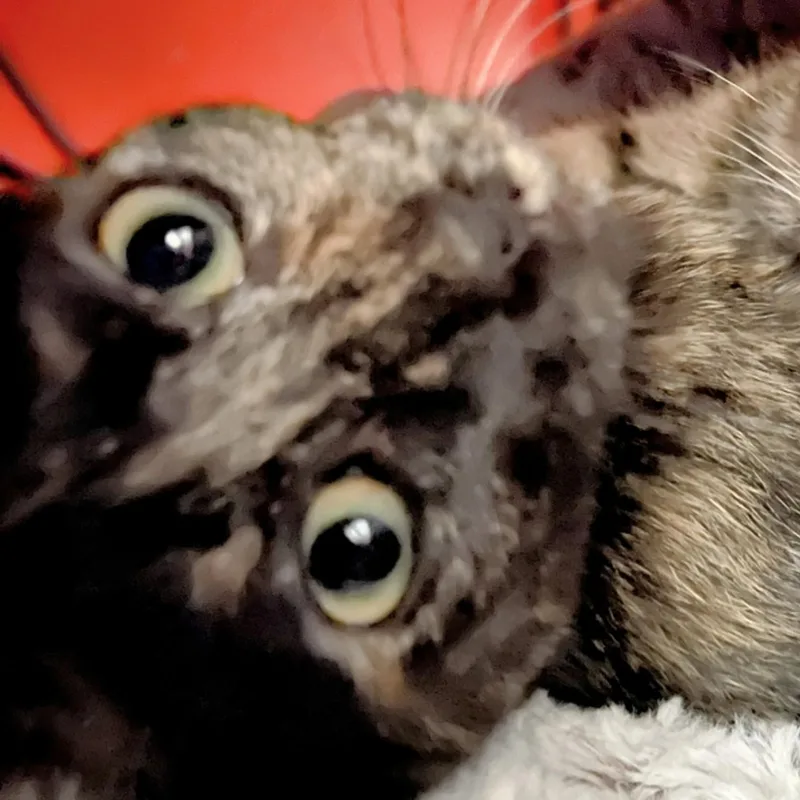 Zoey thumbnail 2